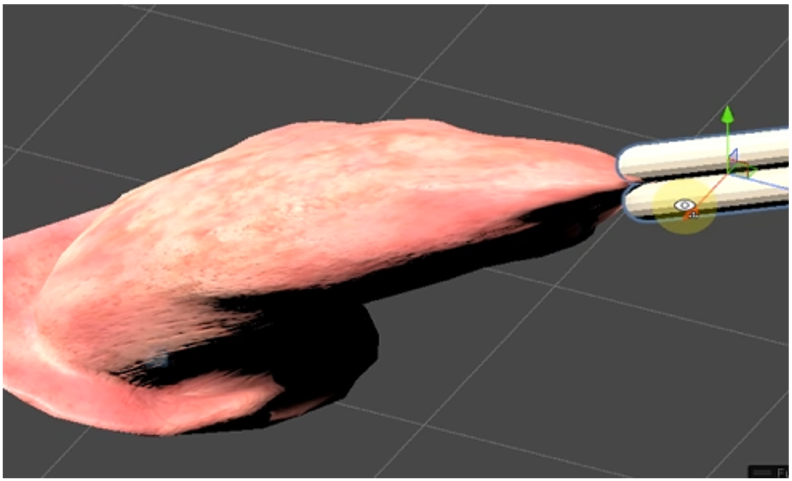 Realistic tissue behavior